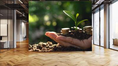 hand holding coins with plant and soil in hand for business,finance,saving concept on nature backgro Wall mural