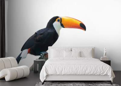 Beautiful toucan isolated on a white background. Wall mural