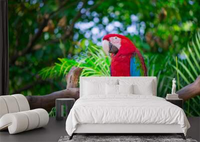 Portrait of colorful Scarlet Macaw parrot against jungle background Wall mural