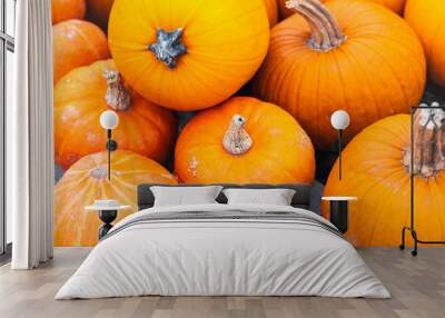 A group of orange ripe Halloween pumpkins. Wall mural