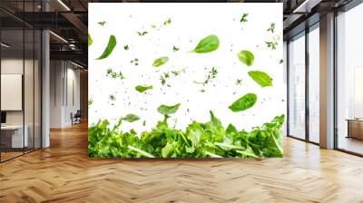 A lot of vegetables and green leaves flying on a white background Wall mural