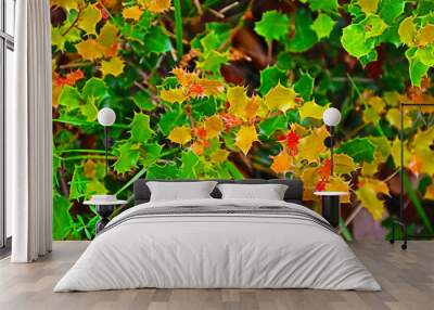 fondo naturaleza con flores  y plantas de colores vivos Wall mural