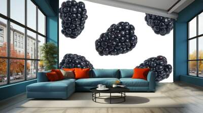 Fresh blackberry falling Wall mural