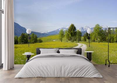 lovely panorama in the alps in Germany Wall mural