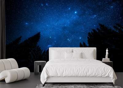 The bright starry sky in the night forest Wall mural