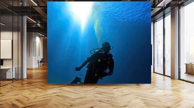 a  scuba diver underwater with sun above sea. . Wall mural