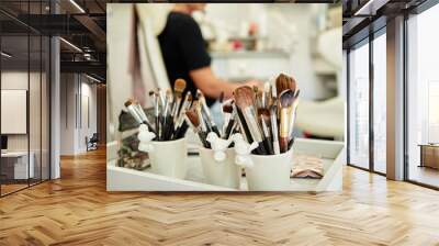 Set of various makeup brushes with femail client  in blur on background, copy space. Professional makeup brushes and tools Wall mural