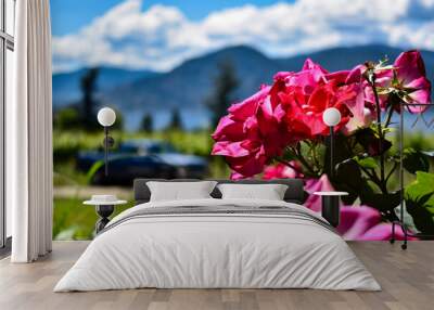 pink flowers in the garden Wall mural