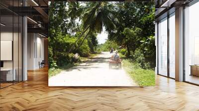 tropical forest atv's in cayo levantado, dominican republic. Wall mural