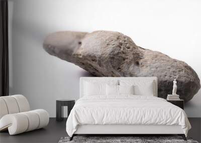 a meteor isolated on white background Wall mural