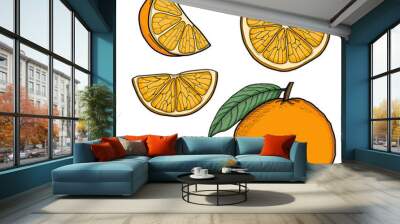 Orange Hand Drawn Illustration Collection Isolated Wall mural