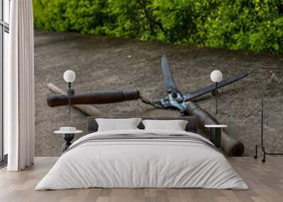 Garden tools, Hedge clipper and ax are waiting for their use, Orchha, India Wall mural