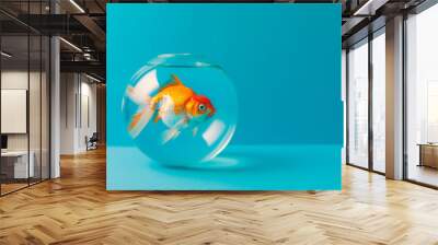 Goldfish in aquarium on blue background, copy space Wall mural