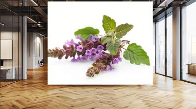 patchouli essential oil in the glass bottle, with fresh patchouli leaves, patchouli oil, aromatic oil, cosmetic product Wall mural