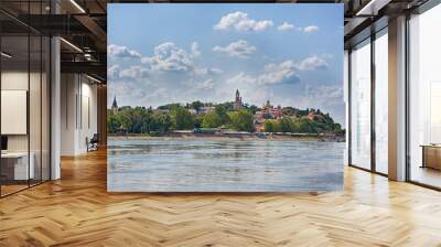 Gardos, Old town Zemun from the river - Belgrade, Serbia, May, 11, 2018 Wall mural