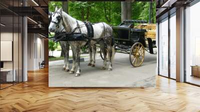 carriage with horses in the park waiting for people Wall mural