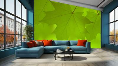 Ahorn Herbst Wall mural