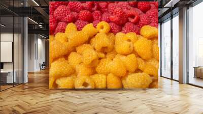 Red and yellow raspberries. Fresh juicy raspberries bright background. Wall mural