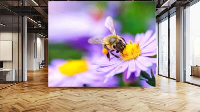 Bee on the flower Wall mural