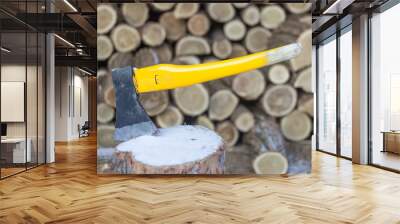 Axe chopping woods, pieces of woods ready for winter home cabin Wall mural