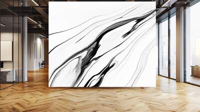 Monocolor marbling raster background. Leaking liquid, alcohol ink minimalistic surface illustration. Black and white abstract fluid art. Paint flow monochrome contemporary simple backdrop Wall mural