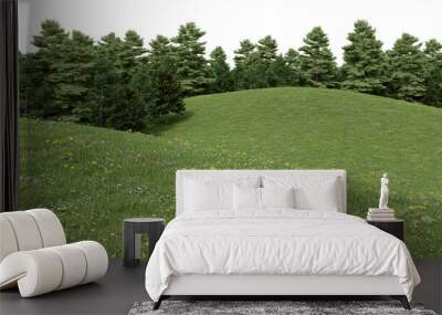 Realistic grass hill and forest tree line. 3d rendering of isolated objects. Wall mural