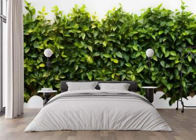 Flat green tree wall hedge isolated on white background, AI Generative. Wall mural