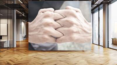 Interlocked fingers. Wall mural