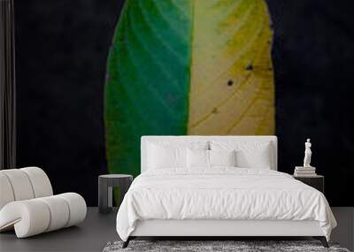 leaves with 2 colors, green and yellow  Wall mural