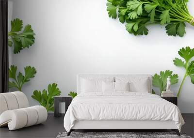 Parsley on white isolated background Wall mural