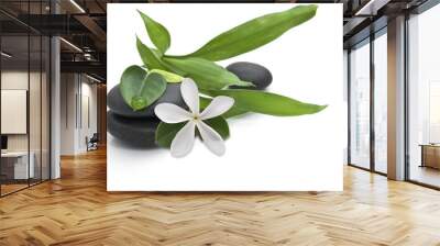 stones with green leafs and white flower Wall mural