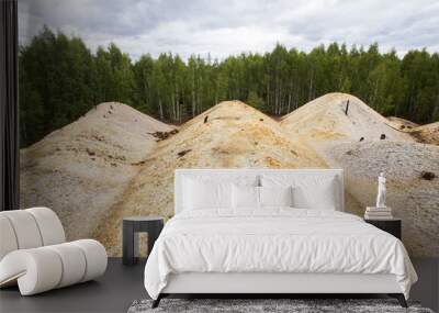 Dull landscape on abandoned mining site with surface dump Wall mural