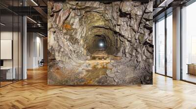 Old iron gold mine underground tunnel Wall mural