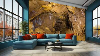 Undeground gold mine tunnel drift with rails Wall mural