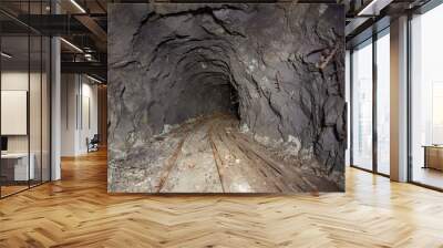 Underground abandoned gold iron ore mine shaft tunnel gallery passage with rails Wall mural