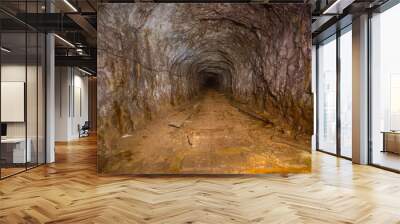 Underground abandoned gold iron ore mine shaft tunnel gallery passage wtih wooden timbering Wall mural