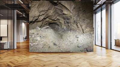 Underground gold mine tunnel Underground gold mine tunnelwooden timbering Wall mural