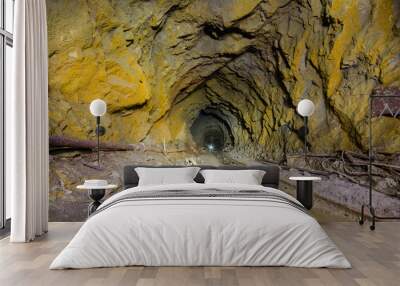 Underground mine shaft dark tunnel gallery ore mining industry Wall mural