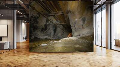 Underground mine shaft iron ore tunnel gallery with pipes Wall mural