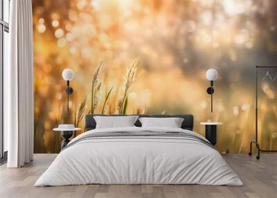 Background, header or banner - grass in the autumn morning light- bokeh, much copyspace Wall mural