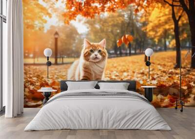 Happy cat play with autumn leaves in public park wallpaper background Wall mural