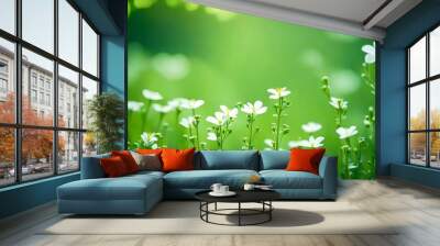 Tiny Plant White Tiny Flower In Nature green color. Creative Banner. Copyspace image Wall mural