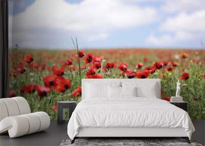 field of red Tulips Wall mural