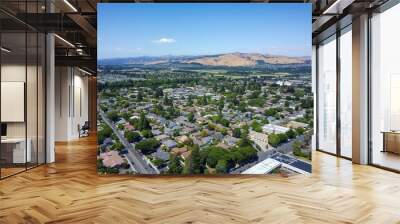 Aerial shot of city of Pleasanton, California, USA. Modern urban landscape with park, buildings, streets, and tower. Cityscape with beautiful architecture and outdoor spaces. Wall mural