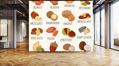 Nuts Wall mural