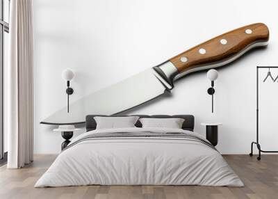 a sharp kitchen knife with a wooden handle isolated on a white background. The sharp blade is made of stainless steel  and the handle is made of wood Wall mural