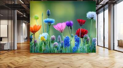 A vibrant collection of wildflowers in various colors, beautifully blooming in a lush green landscape. Wall mural