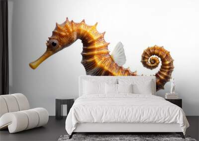 Seahorse with white background  isolated  underwater creature  ocean animal  marine life Wall mural