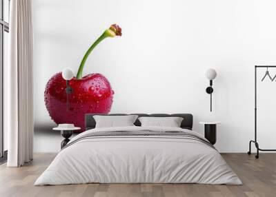 Single Red Cherry with Water Drops on White Background Wall mural