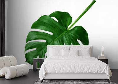 Tropical green leaves on white background Wall mural